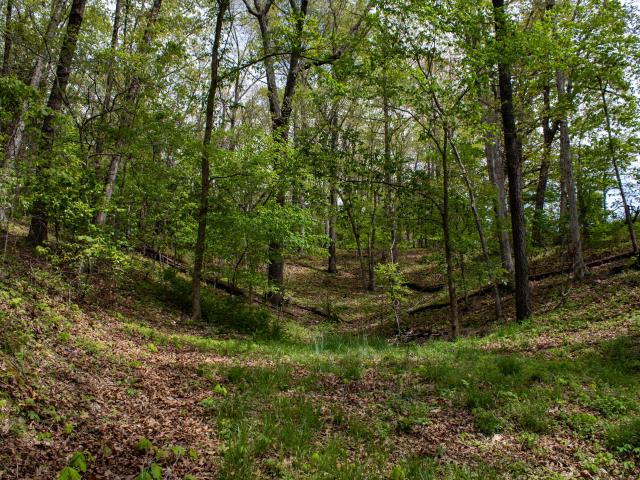 House for sale in Stone, Missouri