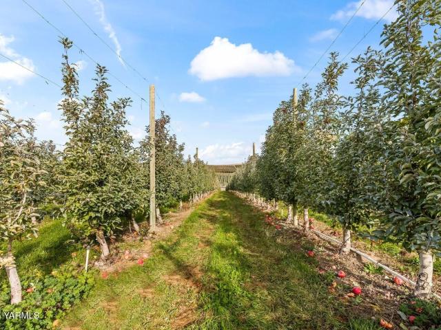 House for sale in Zillah, Washington
