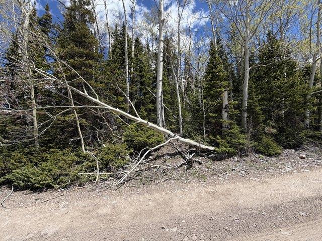 Land for sale in Brian Head, Utah