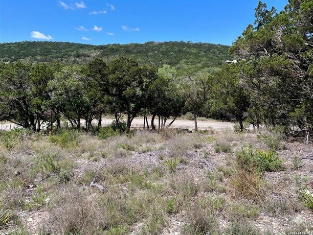 Land for sale in Medina, Texas