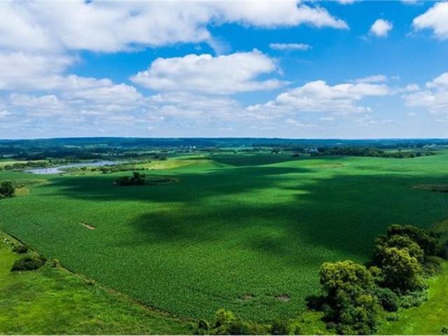 Land for sale in Erhard, Minnesota
