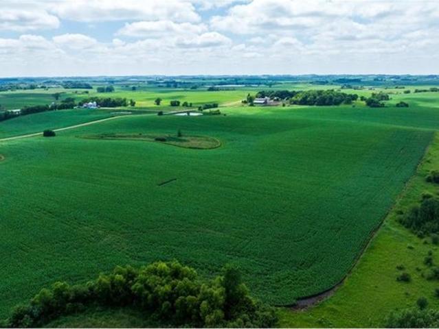 Land for sale in Erhard, Minnesota