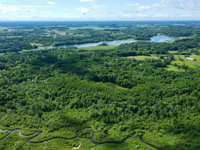 Land for sale in Minnesota