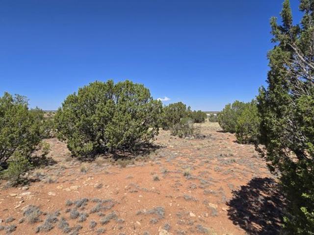 Land for sale in Williams, Arizona