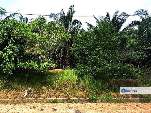 Shop for sale in Kuala Muda, Kedah