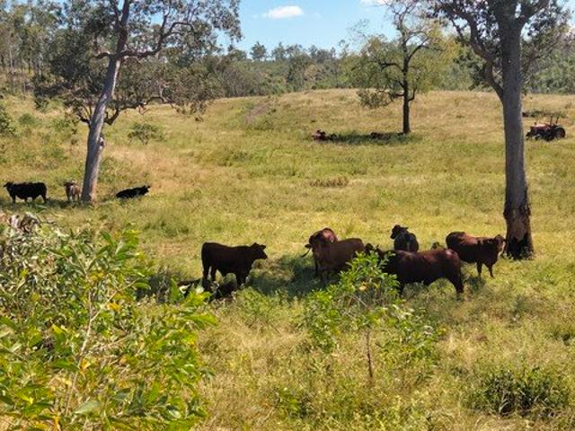 Land for sale in Moolboolaman, Queensland