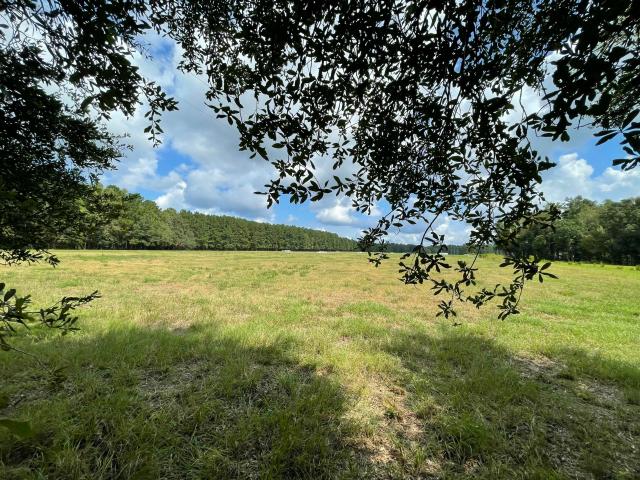 Land for sale in Ridgeville, Berkeley County