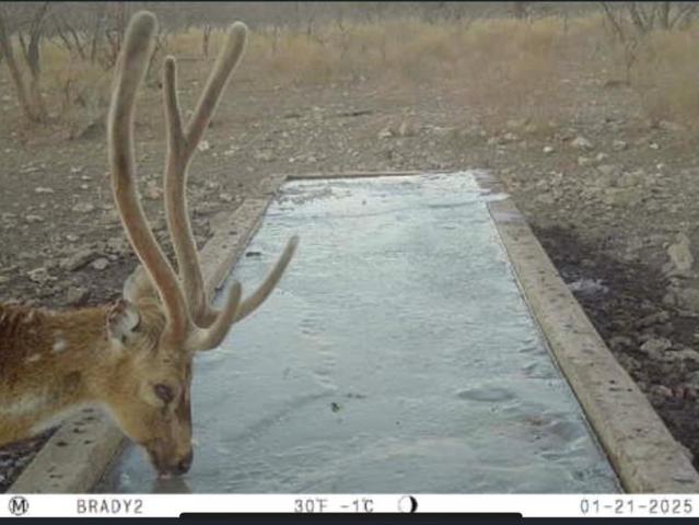 Land for sale in Melvin, Texas
