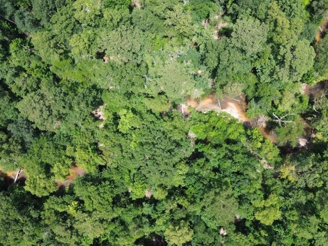 Land for sale in Winters, Runnels County