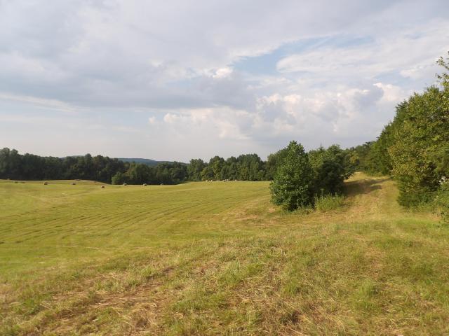 Farm for sale in Monticello, Kentucky