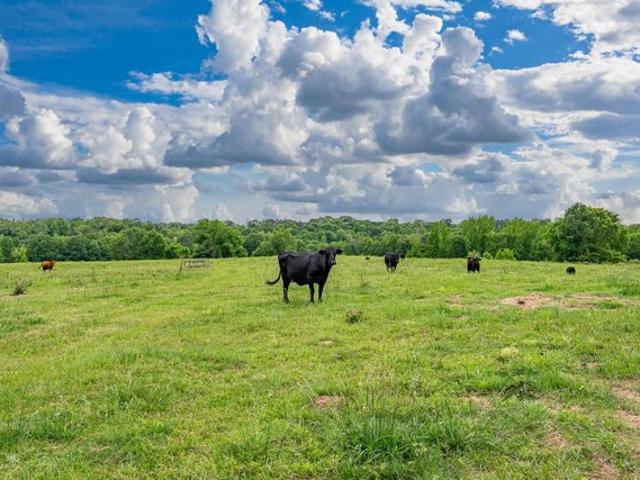 Farm for sale in Bismarck, Hot Spring County