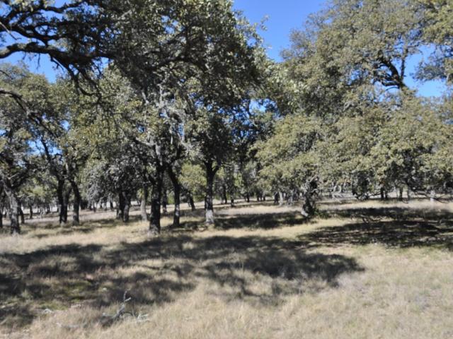 House for sale in Doss, Texas
