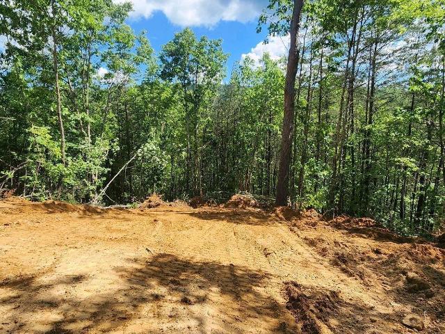 Land for sale in Tennessee