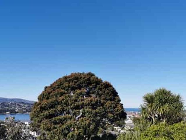 House for rent in Matata, Wellington