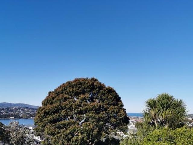 House for rent in Matata, Wellington