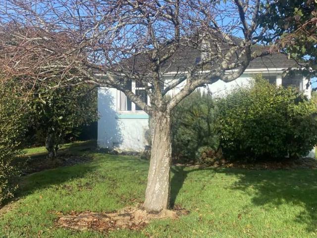 House for rent in Invercargill