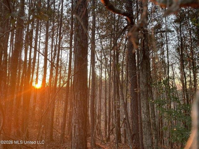 Land for sale in Bogue Chitto, Mississippi