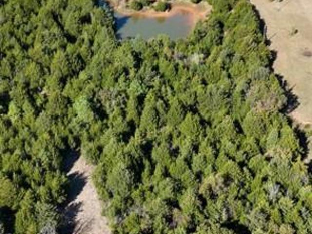 Land for sale in Bethel, Oklahoma
