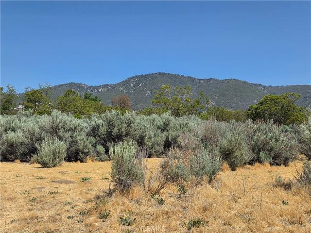 Land for sale in Anza, California