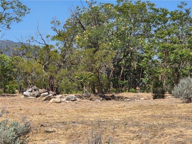 Land for sale in Anza, California