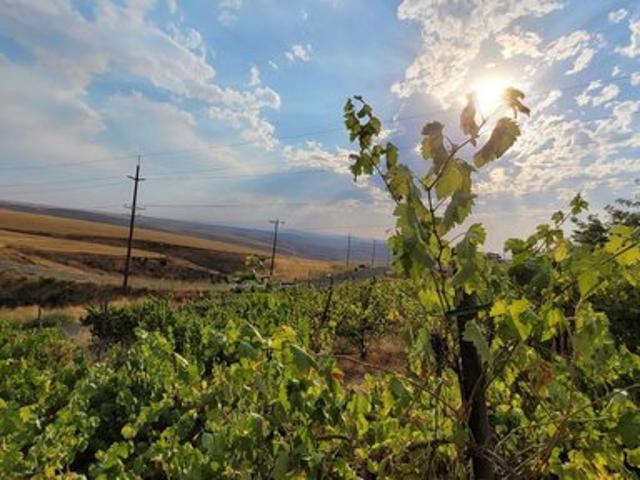 Land for sale in Lewiston, Idaho