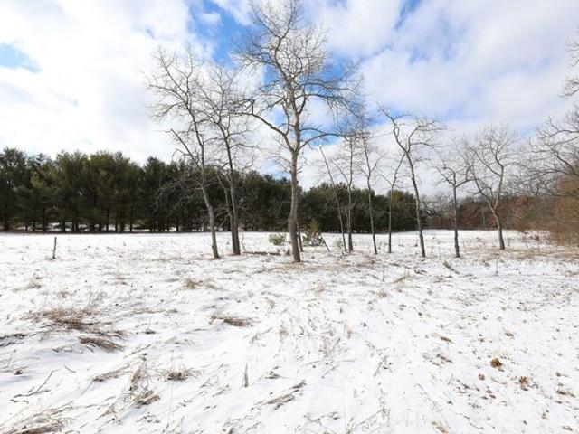 Land for sale in Cedar Springs, Michigan