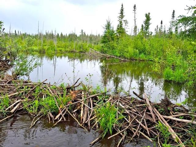 Land for sale in Hulbert, Michigan