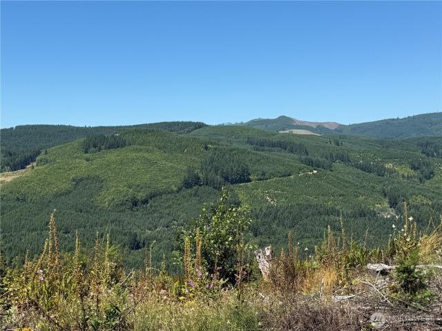 Land for sale in Woodland, Washington