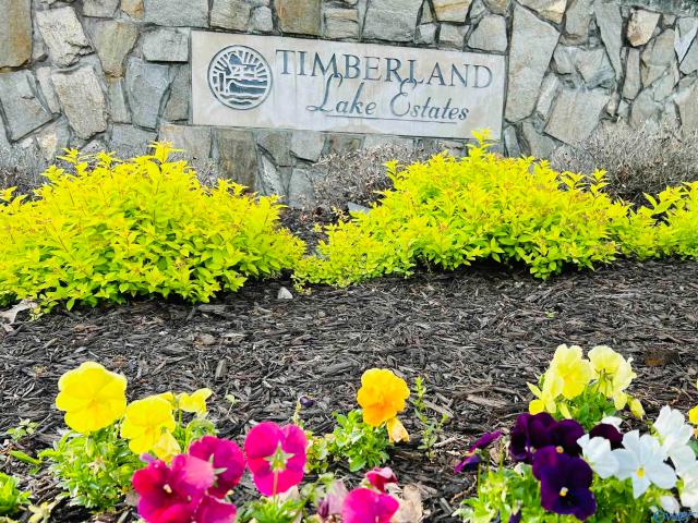 Land for sale in Decatur, Alabama