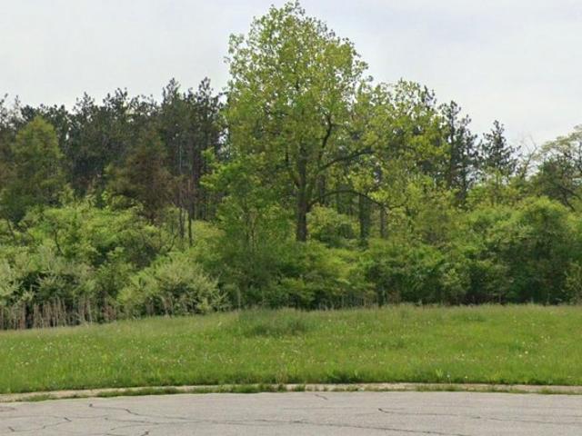 Land for sale in Dyer, Indiana