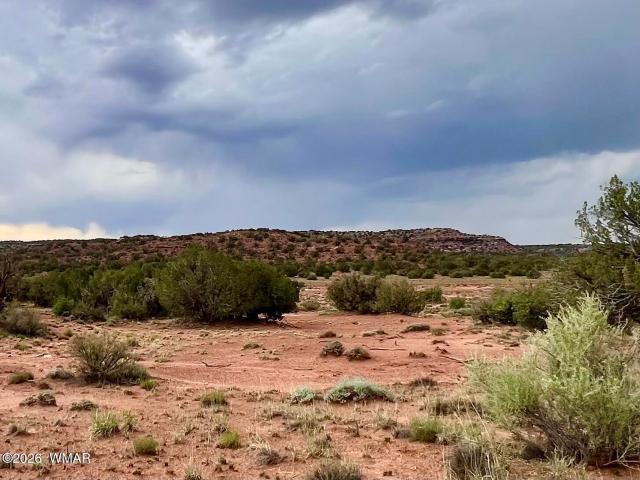 Land for sale in Navajo, Arizona