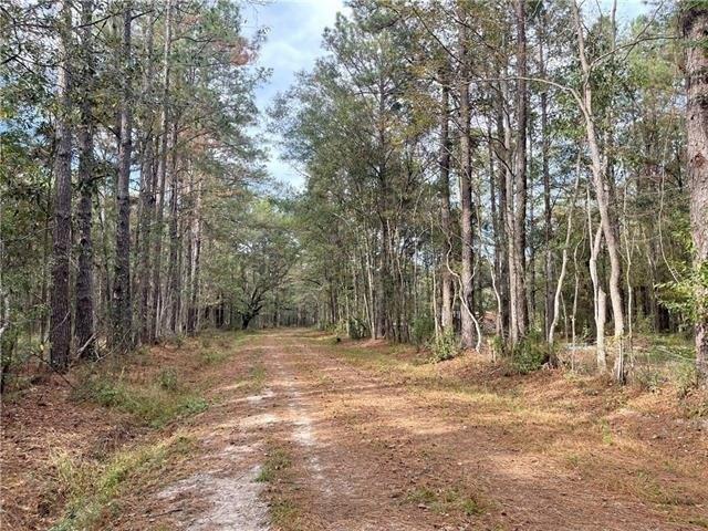 Land for sale in Pearl River, Louisiana