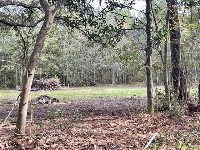 Land for sale in Pearl River, Louisiana