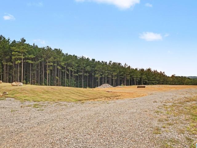 Land for sale in Chelsea, Alabama