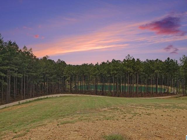 Land for sale in Chelsea, Alabama