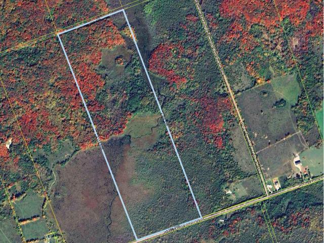 Land for sale in Kawartha Lakes, Ontario