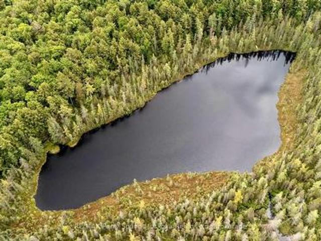 Land for sale in Mcdougall, Ontario