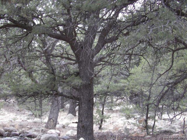 Land for sale in Crestone