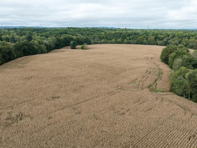 Farm for sale in Stanford, Lincoln County