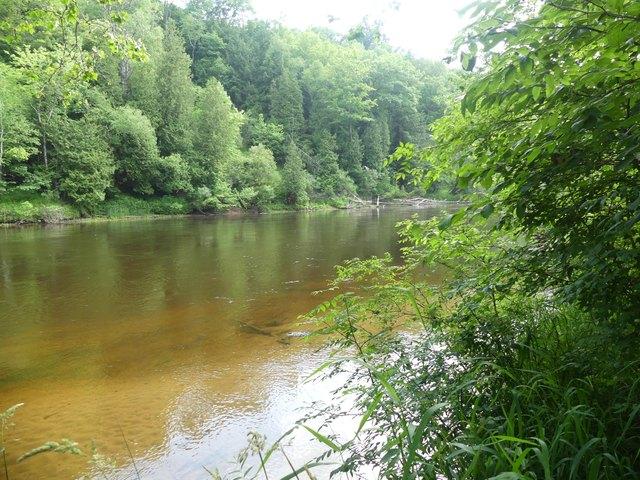 Land for sale in Newaygo, Michigan