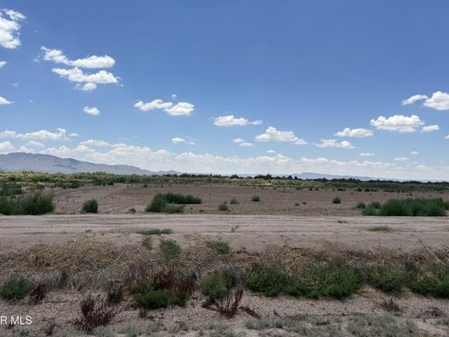 Farm for sale in Fort Hancock, Texas