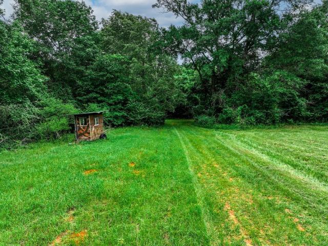 Land for sale in Palestine, Texas
