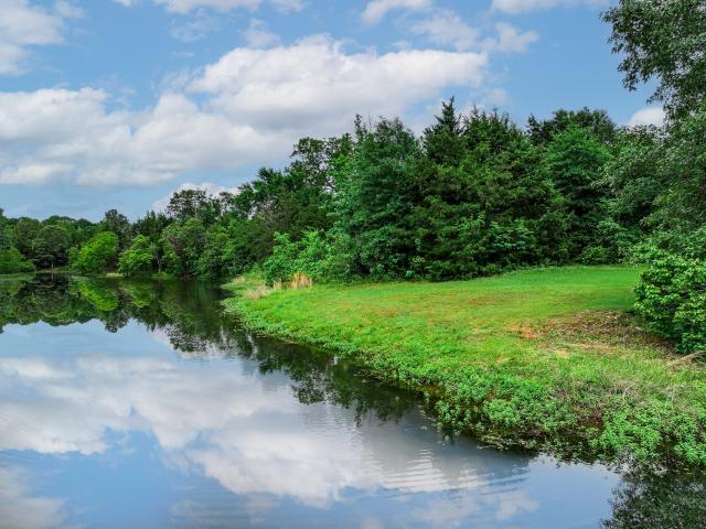 Land for sale in Palestine, Texas