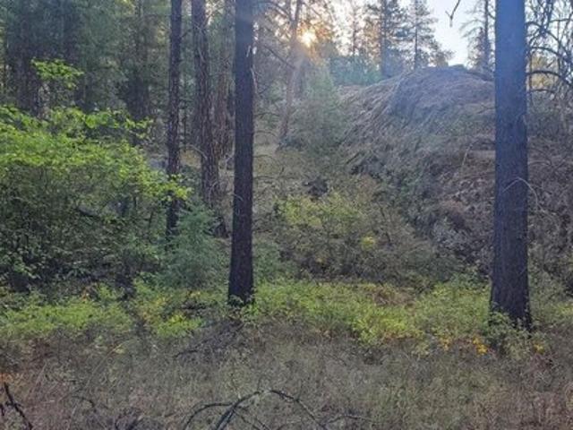 Land for sale in Kettle Falls, Washington