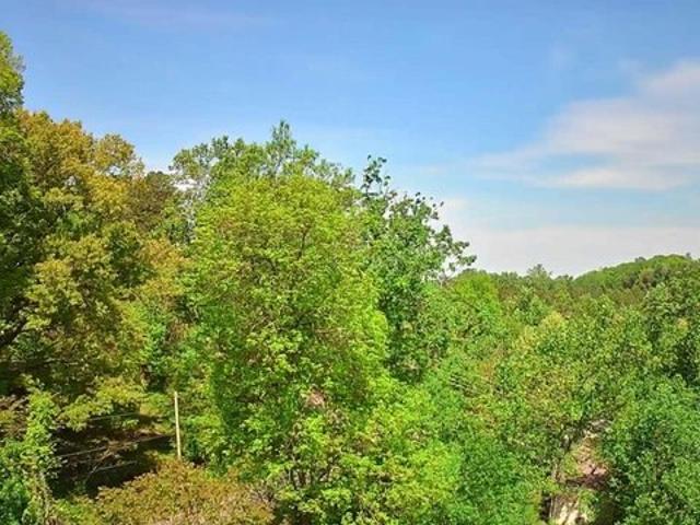 Land for sale in Ringgold, Georgia