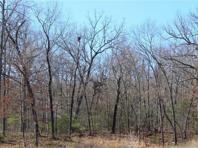 Land for sale in Ark