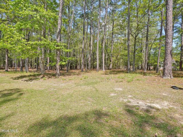 Land for sale in Shallotte, Brunswick County