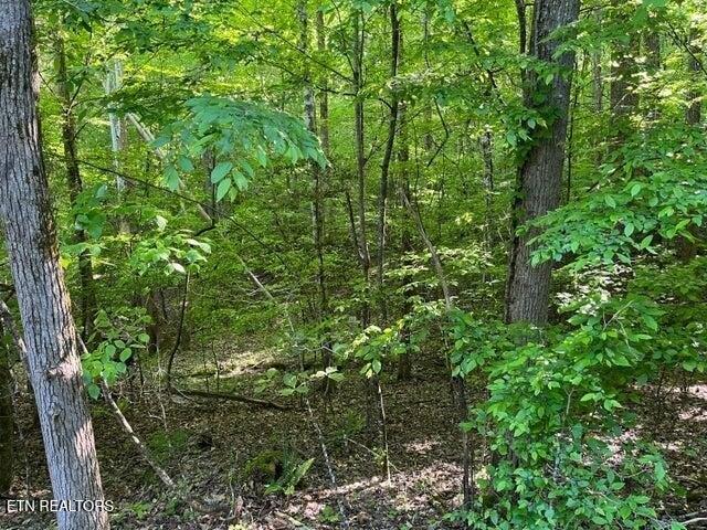 Land for sale in Spring City, East Tennessee