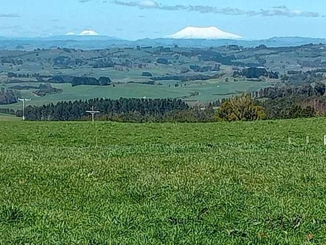 Property for sale in Pirongia, Waikato