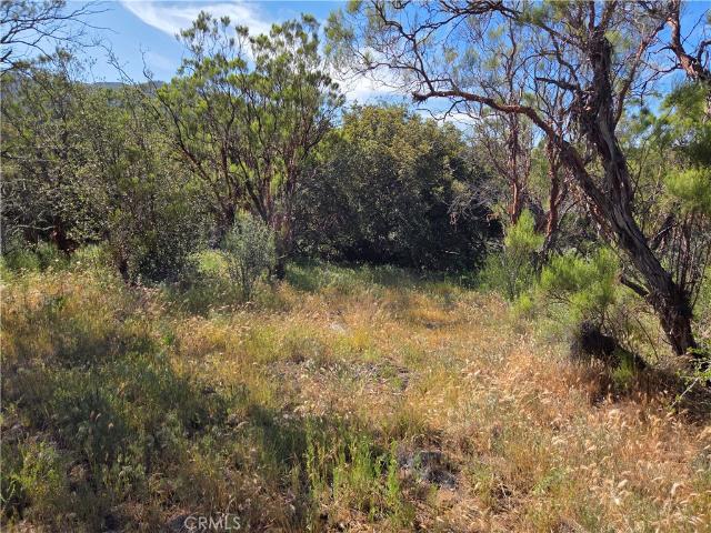 Land for sale in Anza, California
